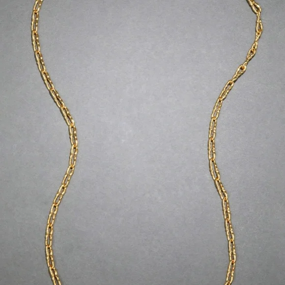 Alexis Bittar Gold Chain Necklace - Picture 4 of 7